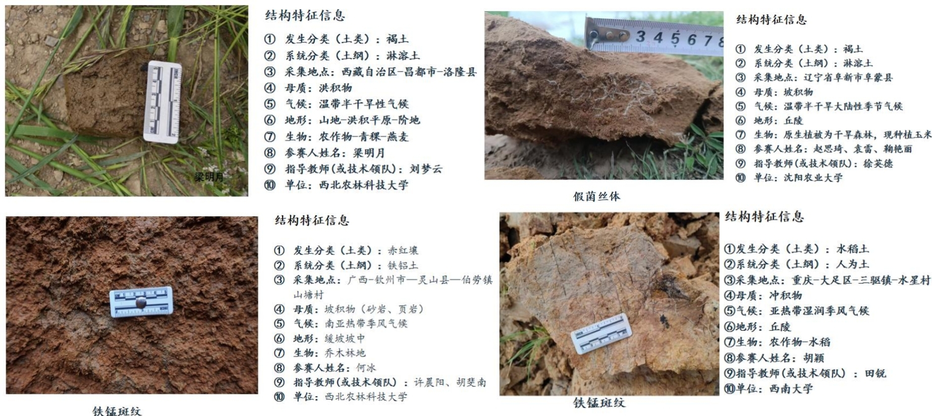 土壤质地照片组图(1).jpg