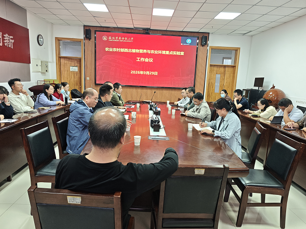 图片 2.png