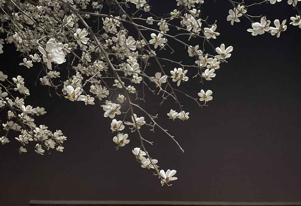 9cb551ef7a8148e8a819153f4c823c2a.png 9cb551ef7a8148e8a819153f4c823c2a.png