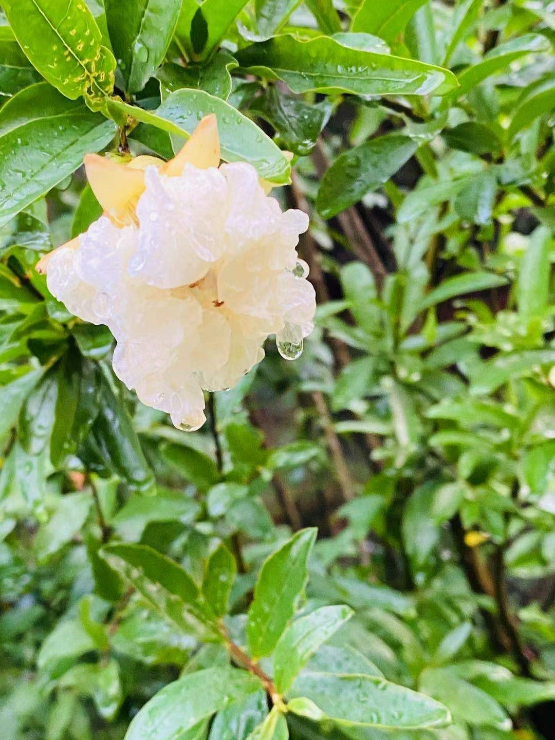 f6f25e9fa9fc4d2096aeb3e46428a96e.png f6f25e9fa9fc4d2096aeb3e46428a96e.png